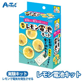 てのひら実験室 実験キット レモン電池 工作キット レモン 実験 果物 野菜 電池 実験セット ユニセックス 理科 科学 科学工作 キット 工作 自由工作 自由研究 図工 夏休み 冬休み 小学校 中学校 大人 教材【てのひら実験室】