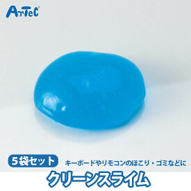 クリーンスライム クリーニングスライム 5袋セット 小分け スライム ストレス解消 教室 ユニセックス 幼稚園 保育園 小学校 オフィス パソコン周辺 掃除 クリーン プレゼント 青 セット まとめ売り 掃除グッズ キーボードクリーナー ホコリ取り【クリーンスライム】