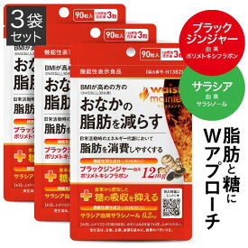 [ダブル W 機能性表示食品 医師監修] ブラックジンジャー と サラシア サラシノール ヒハツ サプリメント BMIが高めの方の お腹の脂肪を減らす 脂肪 を消費しやすくなる 食事の糖の吸収を抑える 糖分 血糖値 ウエストメンテ 3袋セット 脂肪燃焼 [メール便]