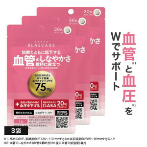  ߂   JcIR GX` yv`h GABA Mo Tv@\\Hi tďC Y ǂ̏_ێ 唞_ytGABA -A~m_ A~m_GXPA 30 30