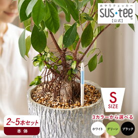 【 送料無料 】 水やりチェッカー SUStee Sサイズ 2～5本セット ( ブラック / グリーン / ホワイト ) サスティー サスティ S サイズ 水分計 水分チェッカー 水やり 植物 観葉植物 ガーデニング 家庭菜園 キャビノチェ