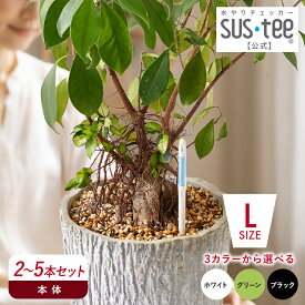 【 送料無料 】 水やりチェッカー SUStee Lサイズ 2～5本セット ( ブラック / グリーン / ホワイト ) サスティー サスティ L サイズ 水分計 水分チェッカー 水やり 植物 観葉植物 ガーデニング 家庭菜園 キャビノチェ