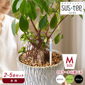 【 送料無料 】 水やりチェッカー SUStee Mサイズ 2～5本セット ( ブラック / グリーン / ホワイト ) サスティー サスティ M サイズ 水分計 水分チェッカー 水やり 植物 観葉植物 ガーデニング 家庭菜園 キャビノチェ