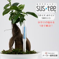 【5本セット・Sサイズ】【サスティー公式】水やりチェッカー SUStee（サスティー） ホワイト｜2,2.5,3号…