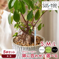 ＼9/10限定20%OFFクーポン配布／【 送料無料 】 水やりチェッカー SUStee S / M / L サイズ 5本セット ( …