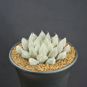 nI`AECR-1 y9cmz JN^Xc c{ A NX^vc tn [bg z Iuc[T×xkX^