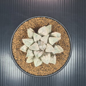 nI`AE␢E 9cm JN^Xc c{ A NX^vc tn [bg z nCubh