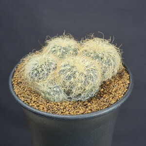 XRu`AE^uRGVX pgVAG WK1087y9cmzJN^Xc T{e  {rA̔ ^ A A