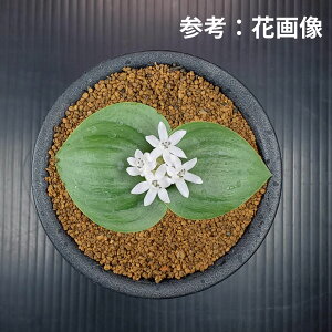 }b\jAEWX~jt 9cm JN^Xc P[vou  A A TLgvc  AtJY