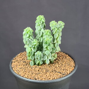 yy~AER 9cm JN^Xc RVE A ^ TLgvc t t y[Y