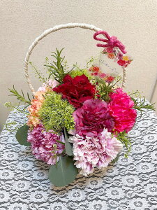 J[l[V 12{ AWg t oXPbg Ԃ Mtg v[g t[Mtg ̂܂܏ 킢 t[AWg a ԃMtg AWgt