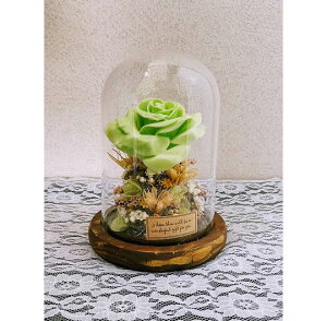 【アレンジメント】ドームローズ グリーン 001 フラワー ドーム バラ フラワーアレンジメント ローズ アレンジメントフラワー おしゃれ ギフト プレゼント 枯れない花 フラワードーム フラ