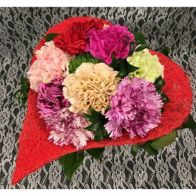 ハートのカーネーションブーケ カーネーション テマリソウ ブーケ ギフト プレゼント 花 フラワーアレンジメント 誕生日 宅配 豪華 お誕生日 花ギフト おしゃれ フラワーブーケ ハート型 フラワーアレンジ アレンジ花 花アレンジ誕生日 誕生日花ギフト 誕生日花プレゼント