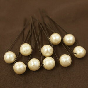 yzփAANZT[yƂ10{ZbgzRbgp[AWs yUszy10mmLXJzy\E񎟉Ep[eB[E߃AWɁz