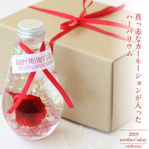 ̓Mtgyherbarium BottlezNXn[oE{g^ԂȃJ[l[V̓̌`̃n[oE|AW{|{bNX&bsO͂