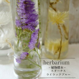 【あす楽対応品】【herbarium　Bottle】ハーバリウムボトル　スターチス＜ライラックブルー＞−植物標本−母の日ギフト
