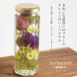 yherbarium Bottlezn[oE{gp{gyMediumzt[AWt[ȉԁ|AW{|