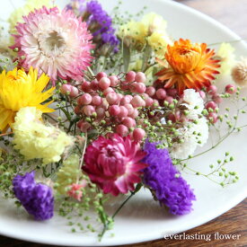 【送料無料／消費税込み価格】【flower gift】ドライフラワー詰め合わせハーバリウムやアロマキャンドル。サシェの花材にお花のキット