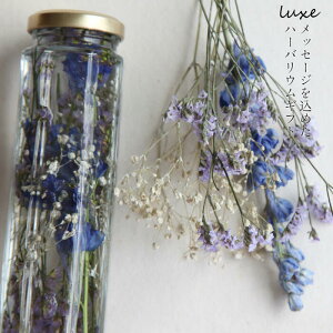 ̓Mtgyherbarium BottlezNXn[oE{gbZ[W߂Ԃ̃MtgyremembrancezX^[`XEftBjEEݑ|AW{|VRIC^