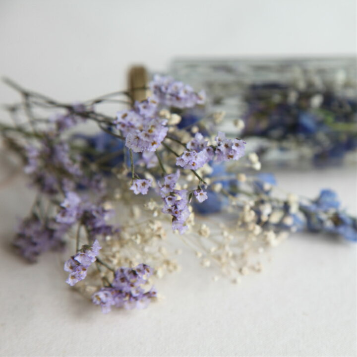 楽天市場 母の日ギフト送料無料 Herbarium Bottle リュクスハーバリウム ボトルメッセージを込めたお花のギフト Remembrance スターチス デルフィニウム かすみ草 植物標本 シリコンオイル 花言葉 ボックスオーガンジーリボンでラッピング 贈り物のお店
