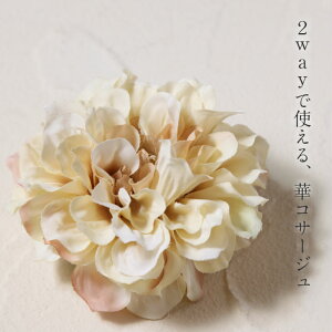 y|Xg͂Ez@I[KW[ܓ_A2wayRT[WyN[zyɂȂ܂z[ց