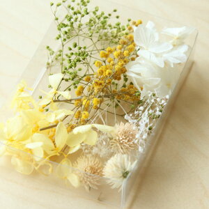 y^ō݉izyflower giftzv`TCYCG[x[XhCt[lߍ킹n[oEA}LhBTVFEANZT[EGfBO{[h̉ԍނ