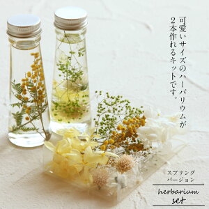 ynhChzyto[WzlC̃~UCG[x[X̃Zbgn[oELbg͂Ăn܂ X^[^[Lbg AW{ ԃMtg IWi