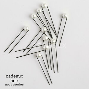 yzփAANZT[y10{ZbgzRbgp[AWs yUszy8mmzCgzy\E񎟉Ep[eB[ElE߁EE܎OAWɁz