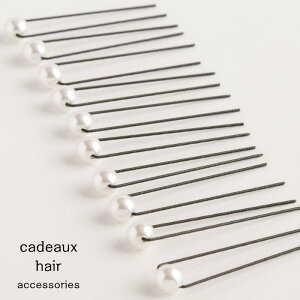 yzփAANZT[y10{Zbgz p[AWs yUszy8mmzCgzy\E񎟉Ep[eB[ElE߁EE܎OAWɁz