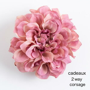 y|Xg͂Ez@I[KW[ܓ_A2wayRT[WysNzyɂȂ܂z[֕s