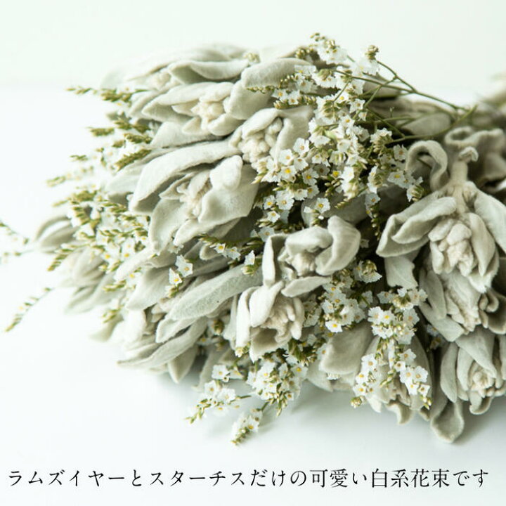 楽天市場 送料無料 あす楽地域対応品 Flower Gift フェミニンカラーラムズイヤーと小さな小花のドライフラワー ブーケ 花束ギフト インテリア誕生日プレゼント記念日ウエディングフォト 贈り物のお店 カドゥ Cadeaux