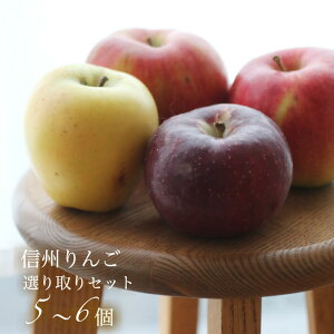 n您͂yzMB̂́yt[czMB̂񂲔ǂHה׃Zbg1D5kgE5 7y ƒpz1~Mtg^쌧