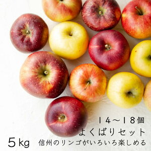 【・2025年収穫お届け】【送料無料】信州のくだもの【フルーツ】いろいろ食べられるよくばりセット信州のりんご箱よりどり食べ比べセット/大5kg・14個から20個<箱>【 ご家庭用】1箱冬ギ