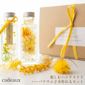 yzXeCz[̃v[gynhChzn[oELbg͂Ăn߂ȒPZbg2{܂ yCG[zAW{ ԃMt IWi