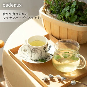 yzyflower giftzLb`n[uoXPbgy~fBAzn[uc3Zbgav[gLO̓