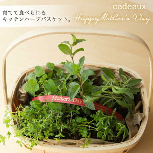 yzynΉiyflower giftzLb`n[uoXPbgy[Wzn[uc6Zbgav[gLO̓