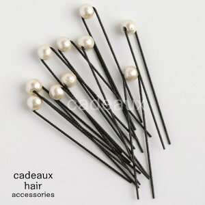 yzփAANZT[y10{ZbgzRbgp[AWs yUszy6mmLXJzy\E񎟉Ep[eB[ElE߁EE܎OAWɁz