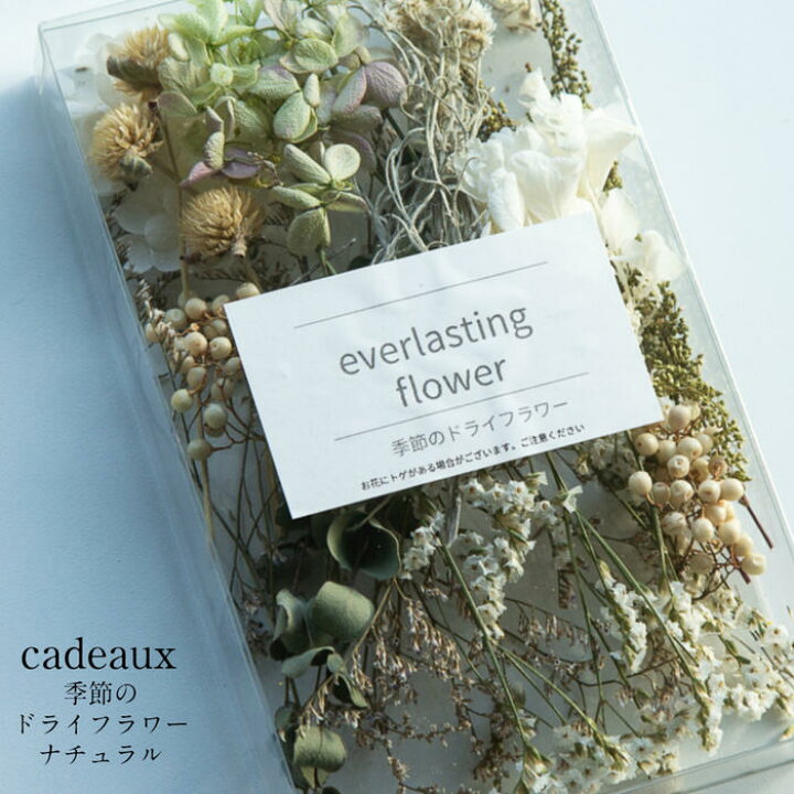 楽天市場 送料無料 消費税込み価格 Flower Gift ドライフラワー詰め合わせ ナチュラル ハーバリウムやアロマキャンドル サシェの花材にお花のキット 贈り物のお店 カドゥ Cadeaux 楽天市場 送料無料 消費税込み価格 Flower Gift ドライフラワー詰め合わせ ナチュラル ハーバリウムやアロマキャンドル サシェの花材にお花のキット 贈り物のお店 カドゥ Cadeaux