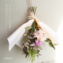 楽天市場】桃 花（ドライフラワー｜花・観葉植物）：花・ガーデン・DIY 