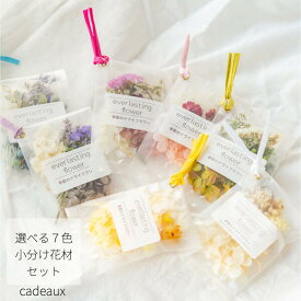 【ハンドメイド】ハーバリウムやアクセサリー作りに　選べる7色ドライフラワー＆プリザーブドセット花材届いてすぐ始まられる
