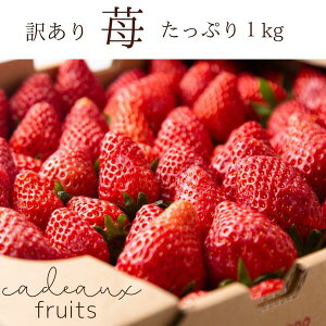 いちご 産地直送の人気商品 通販 価格比較 価格 Com