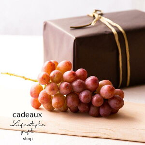 yMB̊󏭐VîԂǂzyzNC[[WE1[Mtg400gȏVC}XJbgȏɎsɏoĂȂiłNIeB[ŉiϓ܂