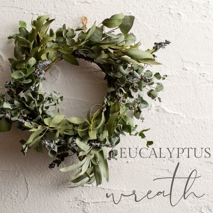 楽天市場 本物の贅沢 たっぷり枝葉を使用したユーカリの葉リース 小クリスマスリース作りにドライフラワー 贈り物のお店 カドゥ Cadeaux