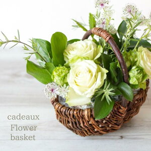 ̓MtgG߂̂ԁE܂t[AWgoXPbgyX[zi`eCXgsNmothers day ʐ^̓C[WɂȂAW͋G߂ŕς܂