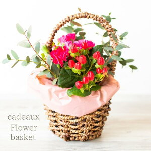 ̓MtgJ[l[V̓t[oXPbgZn||sNmothers day w͂ł܂