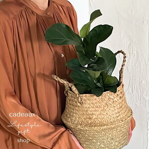 ̓yzCeAO[tBJX[^oXPbgϗtAVzjJXjɁ^JVoS̖ؔJo[A󂯎Mt