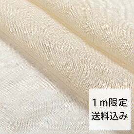 楽天市場 透ける生地 布の通販