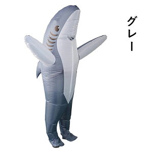 T Ct[^u RX`[ nEB  RXv T GA[X[c GA[RX`[ V[N lp T L  nEB[ Cxg p[eB[ 