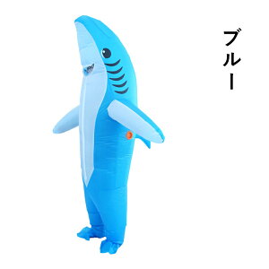 T Ct[^u RX`[ nEB  RXv T GA[X[c GA[RX`[ V[N lp T L  nEB[ Cxg p[eB[ 