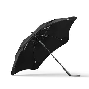 y{K㗝XzBLUNT CLASSIC ug NVbN P P j[W[h ɋ ϕP hP  IV I Mtg vZg Y j 65cm TG CObY J ~